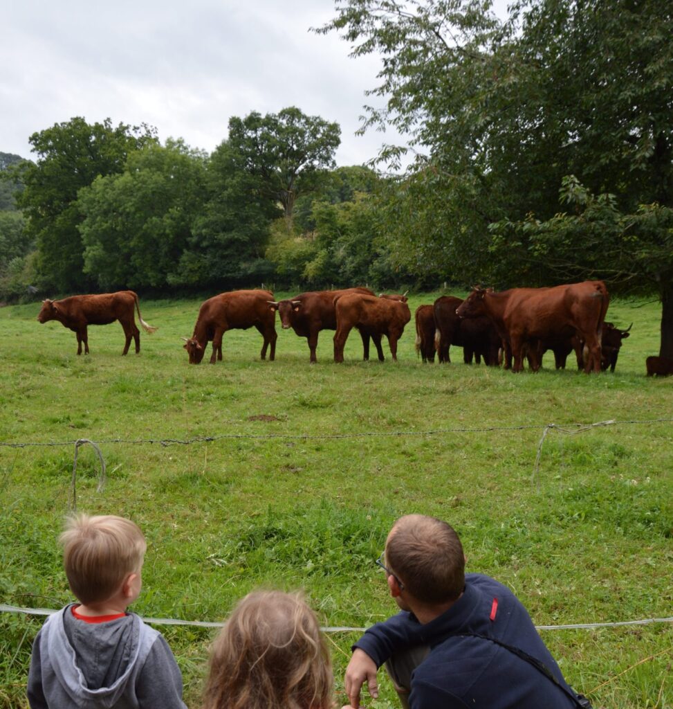 Des enfants et des adultes devant le troupeau