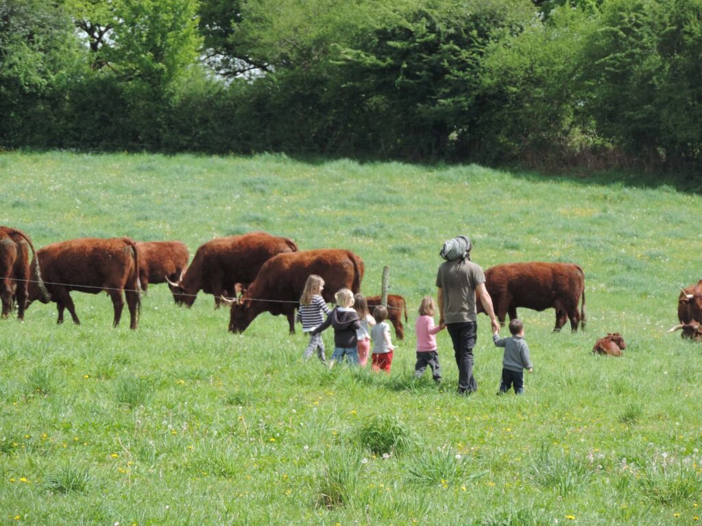 Un groupe d'enfants observe les vaches dans la prairie