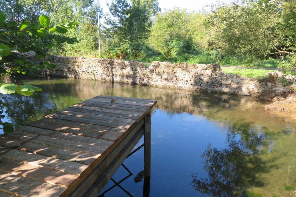 Un ponton de bois sur la mare, au bord des arbres